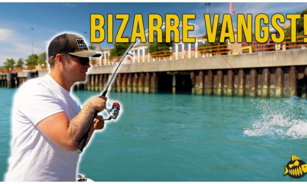 ***VIDEO*** Hoort deze vis in Nederland – Vissen in de Europoort