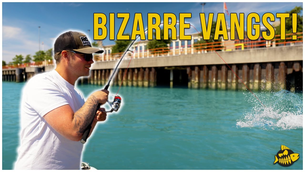 ***VIDEO*** Hoort deze vis in Nederland – Vissen in de Europoort