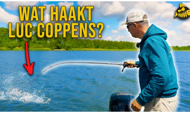***VIDEO*** MET DEZE VISTECHNIEK VANG JIJ MEER SNOEK – Geheime tips van Luc Coppens en Chris Bloemert