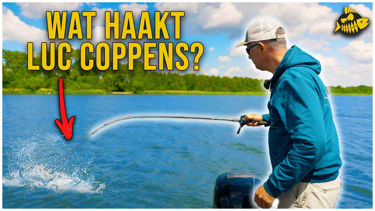 ***VIDEO*** MET DEZE VISTECHNIEK VANG JIJ MEER SNOEK – Geheime tips van Luc Coppens en Chris Bloemert