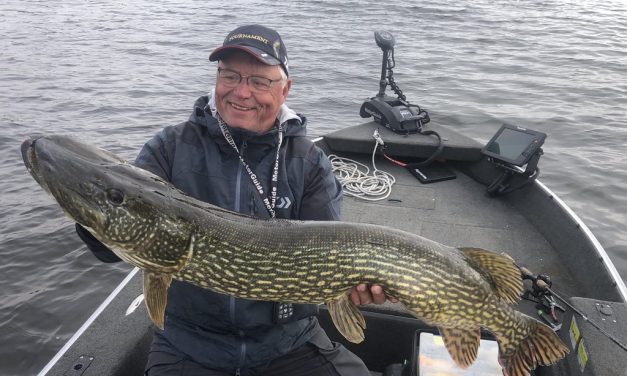 Masterclass trollen op grote snoek