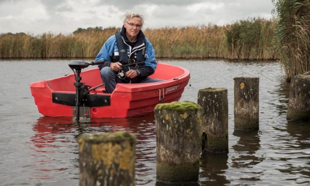 De elektromotoren van Yamaha