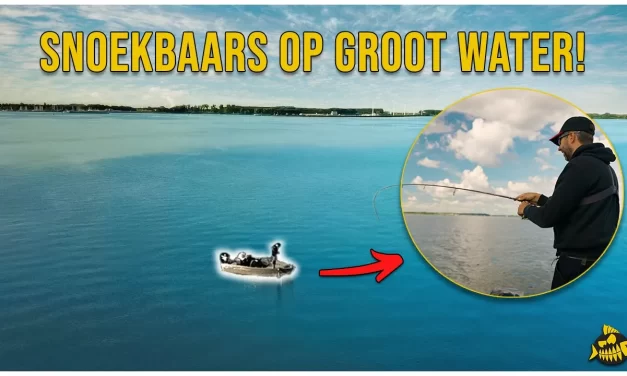 ***VIDEO*** ZO VIND JIJ TOPSTEKKEN VOOR SNOEKBAARS OP GROOT WATER! – Tips van de expert