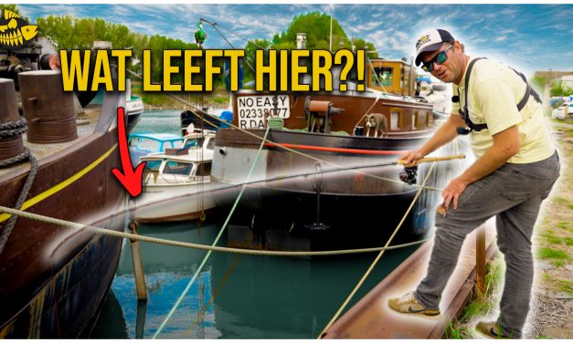 ***VIDEO*** Worden wij WEGGEJAAGD van deze TOPSTEK voor SNOEKBAARS – Werpen met shads in Rotterdam