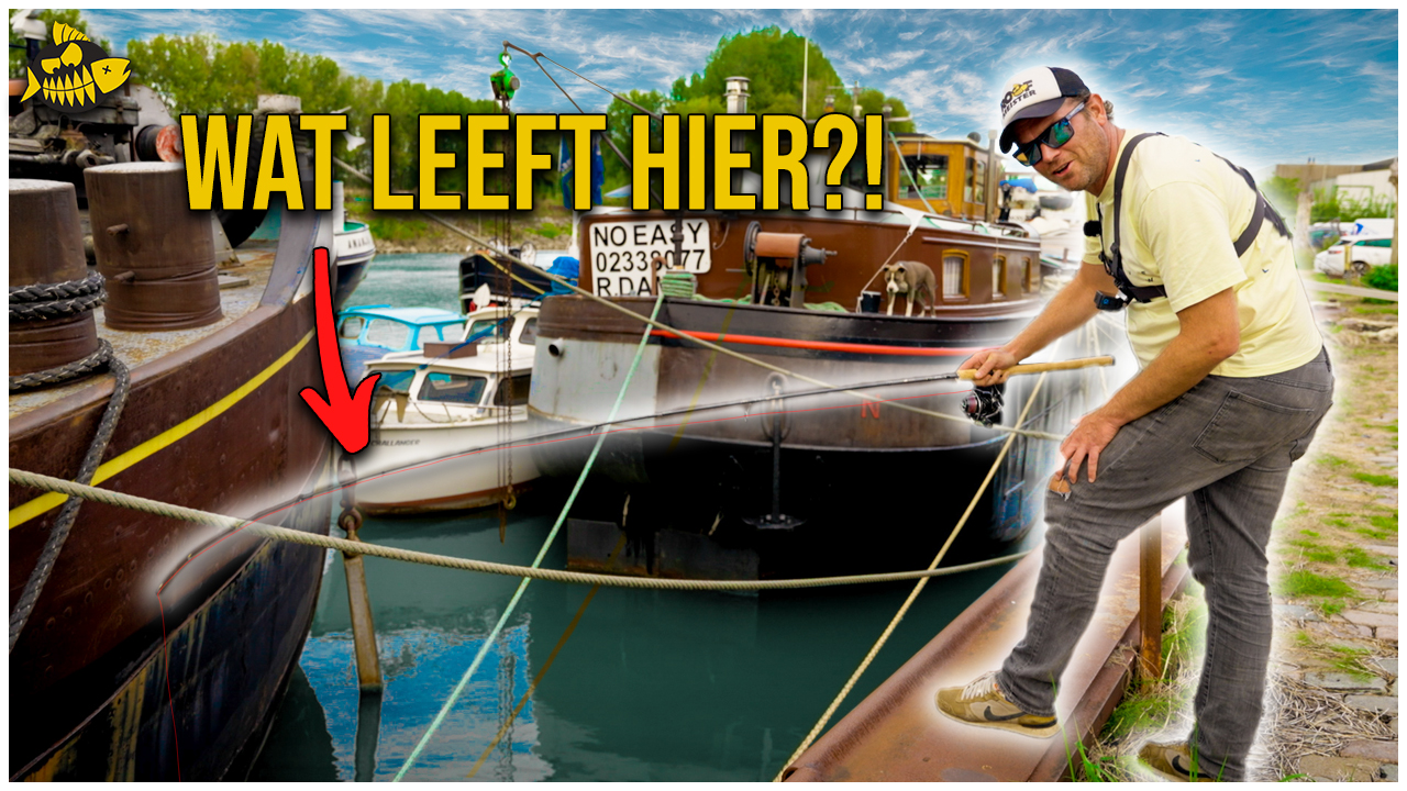 ***VIDEO*** Worden wij WEGGEJAAGD van deze TOPSTEK voor SNOEKBAARS – Werpen met shads in Rotterdam