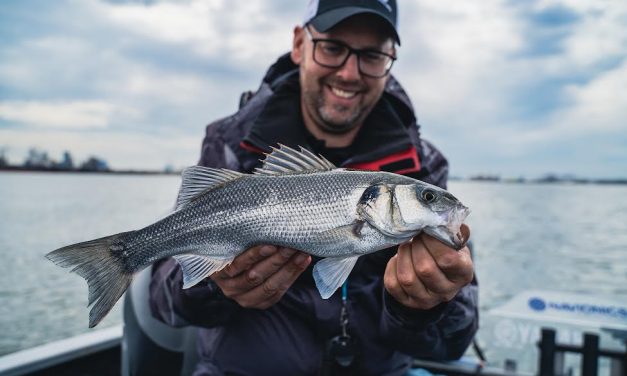 Vincent Tobé op zeebaars – VIDEO