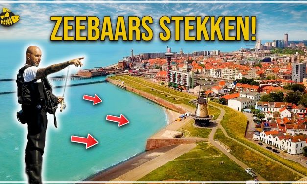 ***VIDEO*** ZEEBAARS IN ZEELAND – Tips, Tricks en Stekken!