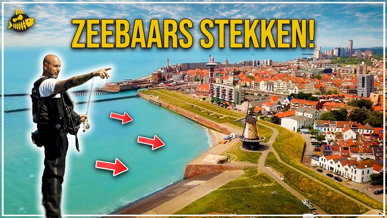 ***VIDEO*** ZEEBAARS IN ZEELAND – Tips, Tricks en Stekken!