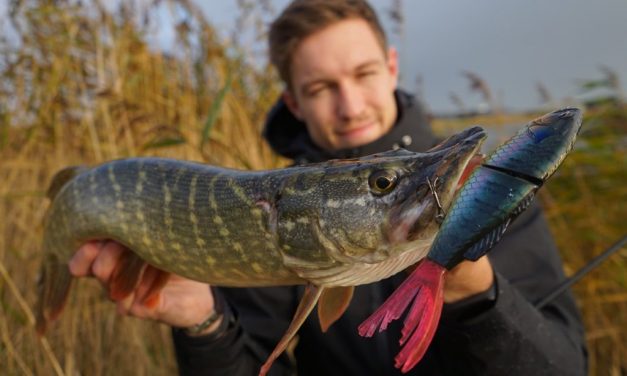 De dodelijke hardbaits van Shimano