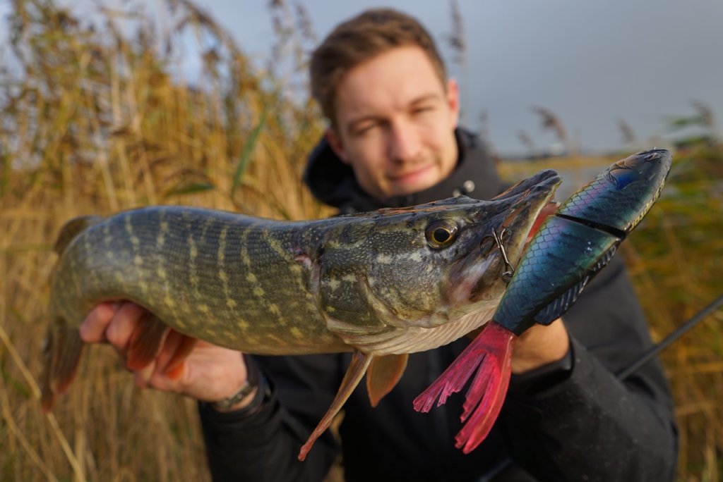 De dodelijke hardbaits van Shimano