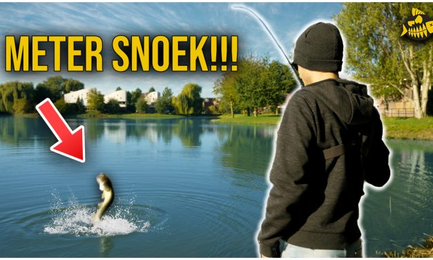 ***VIDEO*** WIJ VANGEN GROOTSTE METERSNOEK VANAF DE KANT! – Zo vang je snoek in de herfst