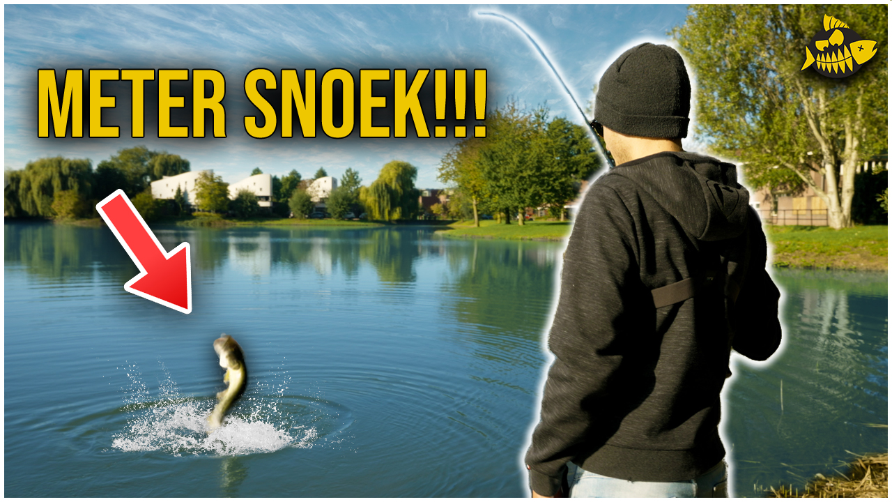 ***VIDEO*** WIJ VANGEN GROOTSTE METERSNOEK VANAF DE KANT! – Zo vang je snoek in de herfst