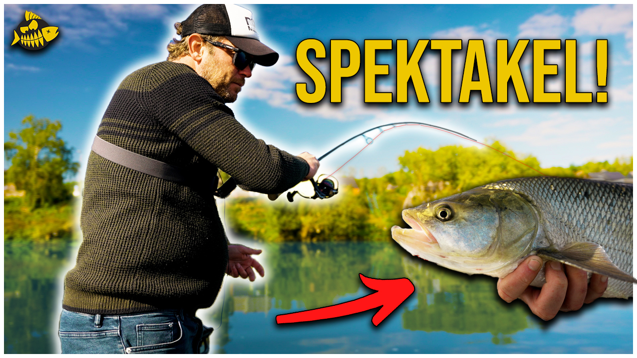 ***VIDEO*** MEGA HARDE AANBETEN! – Zo vis je nu op roofblei