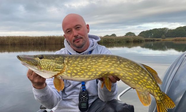 Op zoek naar de mega snoeken & no wind, no pike?