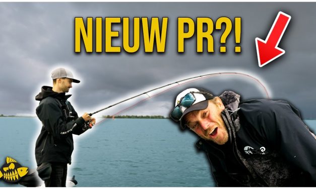 ***VIDEO*** BIZAR GROTE ROOFVIS OP NIEUWSTE JAPANSE VISTECHNIEK!