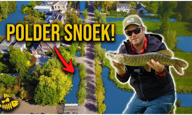 ***VIDEO*** ZO VANG JIJ MAKKELIJK SNOEK – Vissen vanaf de kant in woonwijk