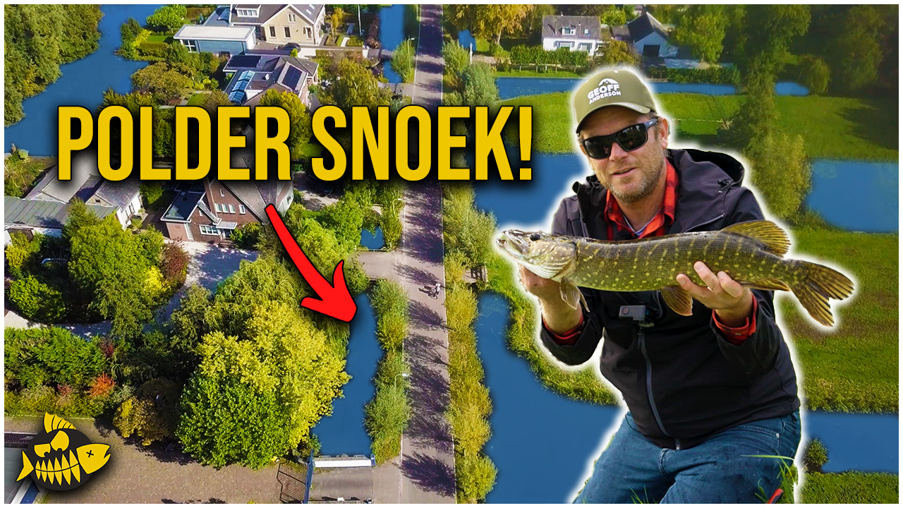 ***VIDEO*** ZO VANG JIJ MAKKELIJK SNOEK – Vissen vanaf de kant in woonwijk