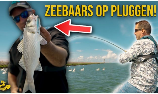 ***VIDEO*** WIJ VANGEN EEN MONSTER ZEEBAARS! – Vissen met pluggen in de Europoort