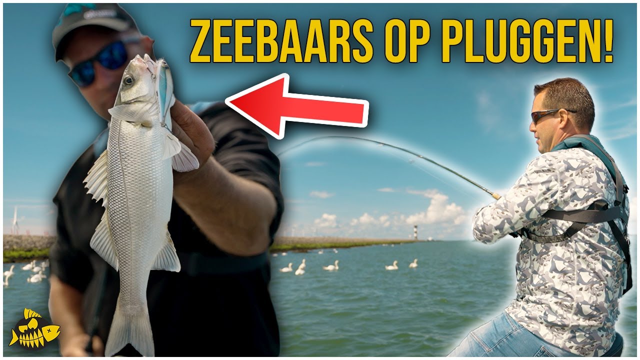 ***VIDEO*** WIJ VANGEN EEN MONSTER ZEEBAARS! – Vissen met pluggen in de Europoort