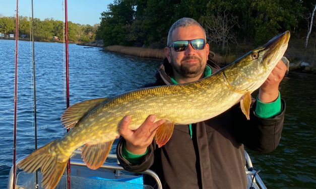 Tamme vos, de grootste snoek en Streetfishing aan de Oostzeekust