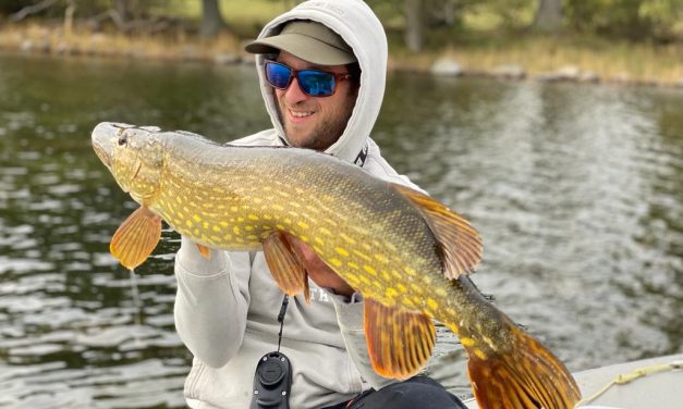 Grootste snoek tot nu toe & Bo Staartjes pakt uit in half uurtje