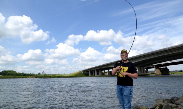Hengel kopen voor het werpen op snoekbaars? Hier moet je op letten!