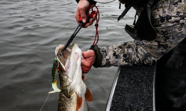 Zo vis jij met shads op grote snoek