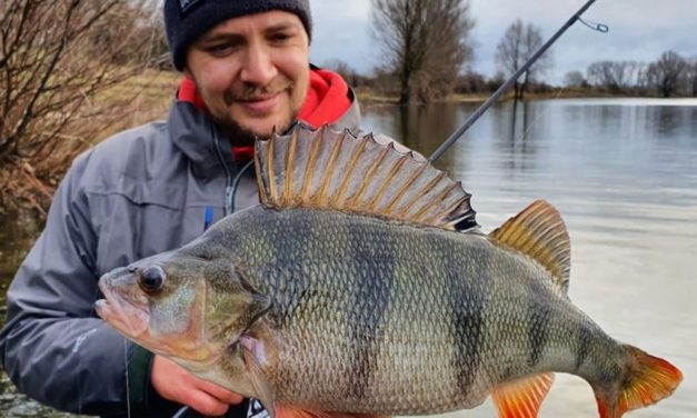 Pareltjes van Ultimate Fishing – Dit moet je deze winter hebben