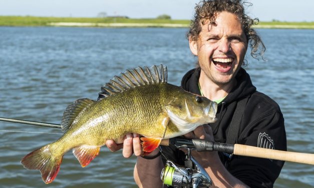 5 dingen die je absoluut moet weten over de Carolina Rig