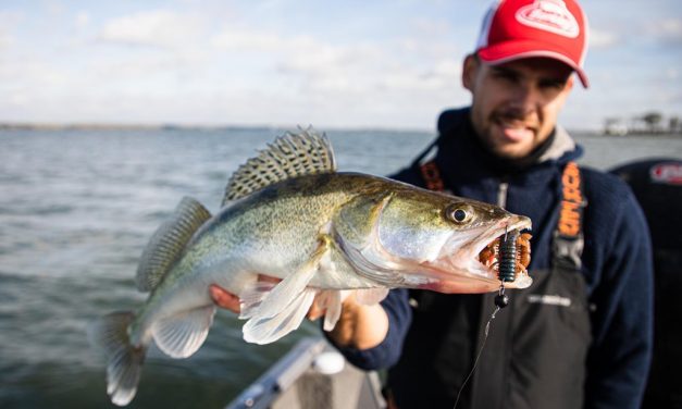 Tactieken voor winterbaars en -snoekbaars