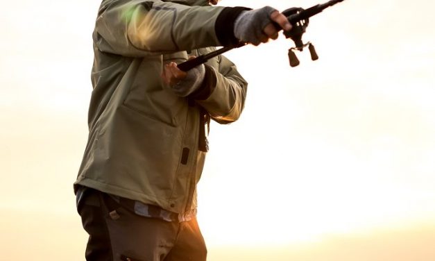 Waar let je op bij de aanschaf van een jerkbait hengel? Tips van experts