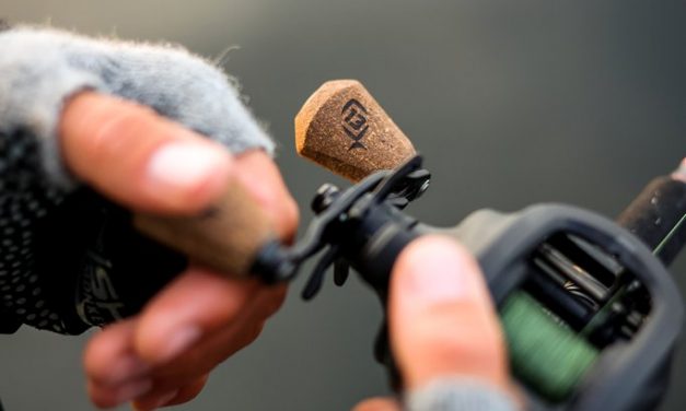 Hoe kies je een reel voor het vissen met jerkbaits?