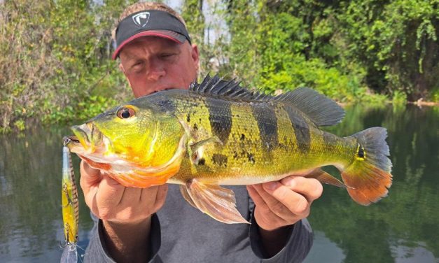 Een droomreis in Panama – vissen op Peacock bass