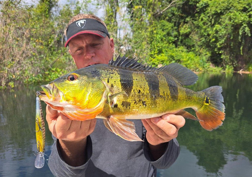 Een droomreis in Panama – vissen op Peacock bass