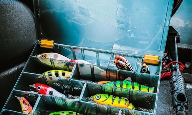 Kunstaas voor alle visserijen op snoek – De SPRO Iris serie