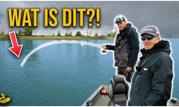 ***VIDEO*** NOOIT EERDER HEBBEN WE ZO LANG EEN VIS GEDRILD! 40 minuten!!! Is dit het record MEERVAL?!