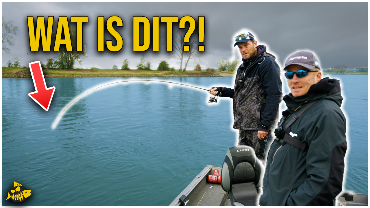 ***VIDEO*** NOOIT EERDER HEBBEN WE ZO LANG EEN VIS GEDRILD! 40 minuten!!! Is dit het record MEERVAL?!