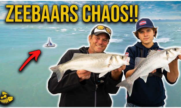***VIDEO*** GAAT DIT FOUT OP OPEN ZEE? & MEGA VEEL ZEEBAARS ACTIE!
