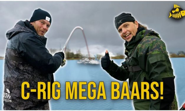 ***VIDEO*** TIPS DIE NIEMAND WEET! – Zo vang jij GROTE BAARS op carolina en twitchbaits!