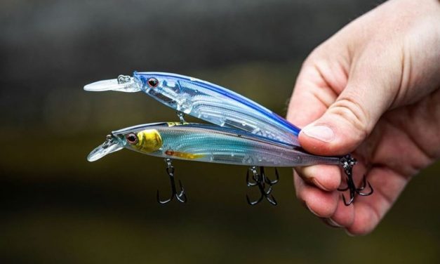Vijf tips voor beginners met twitchbaits!