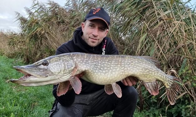 Zo vis je met dood aas op snoek!