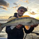 Code gekraakt? Het beste weer om snoek, snoekbaars en baars te vangen