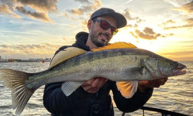 Code gekraakt? Het beste weer om snoek, snoekbaars en baars te vangen