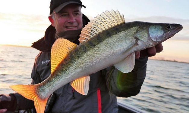Dit moet je weten over winter snoekbaars!
