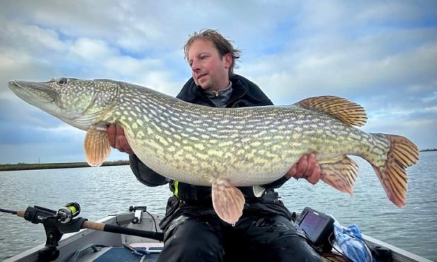 Roofmeister INSIDE: MEGA snoekbaars, yellow mouth snoekbaars & stoempen op Maurik