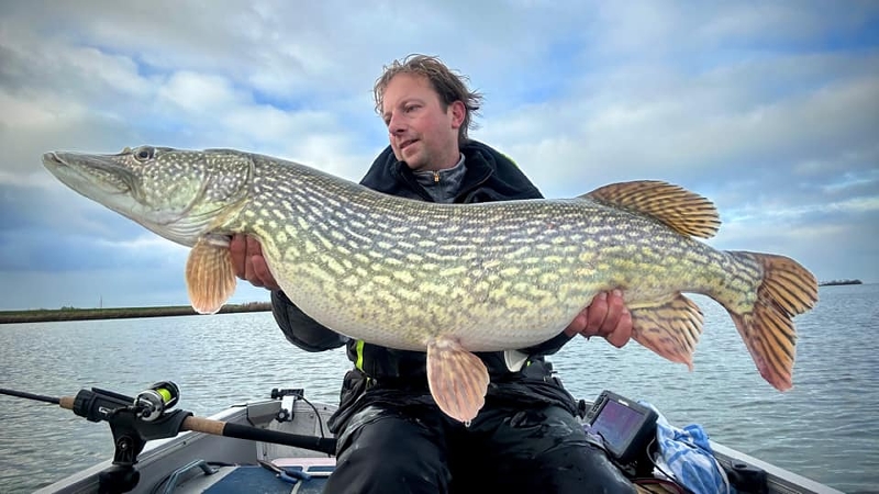 Roofmeister INSIDE: MEGA snoekbaars, yellow mouth snoekbaars & stoempen op Maurik