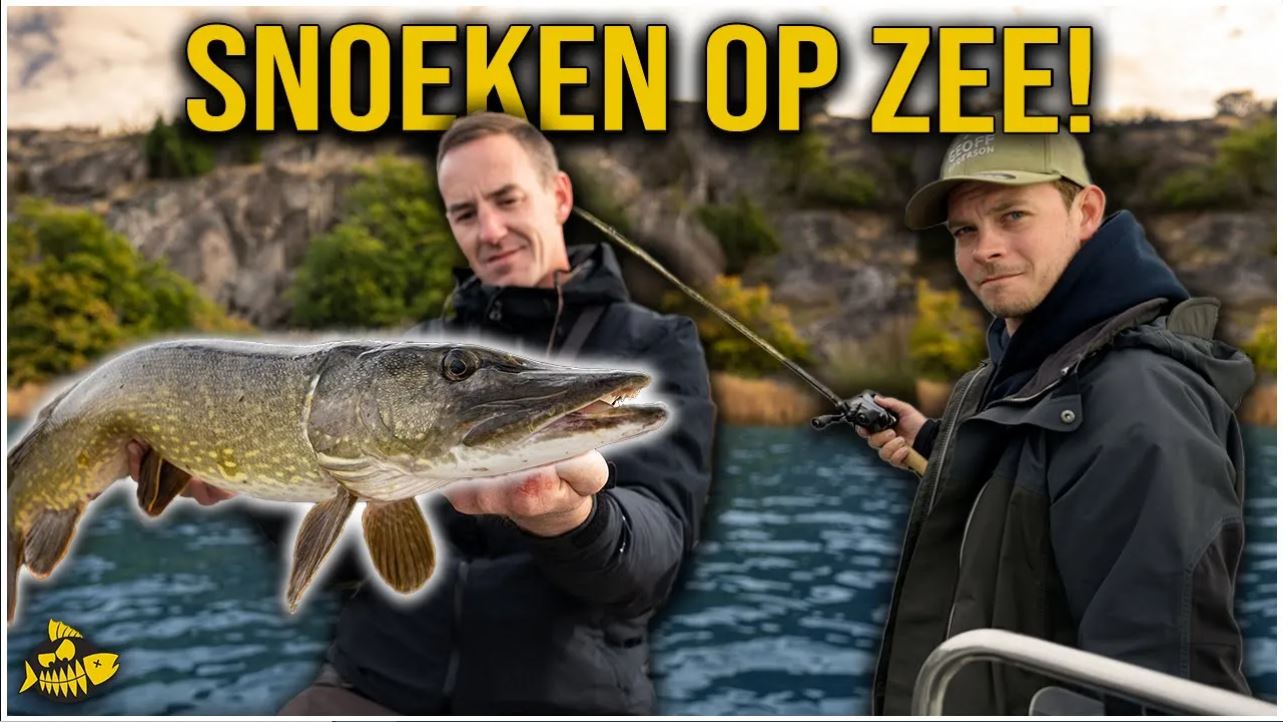 ***VIDEO*** Wij vangen DUIZEND SNOEKEN in een week! – Tussen de kwallen op zee