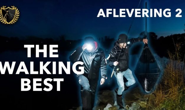 EEN METER SNOEKBAARS OP DE RIVIER? – Aflevering 2 THE WALKING BEST