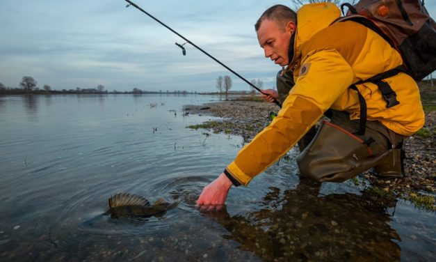 PvdD wilt verbod zien – Wat kun jij doen?