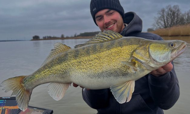 Nu moet je op rivier snoekbaars vissen – Luc legt uit hoe!
